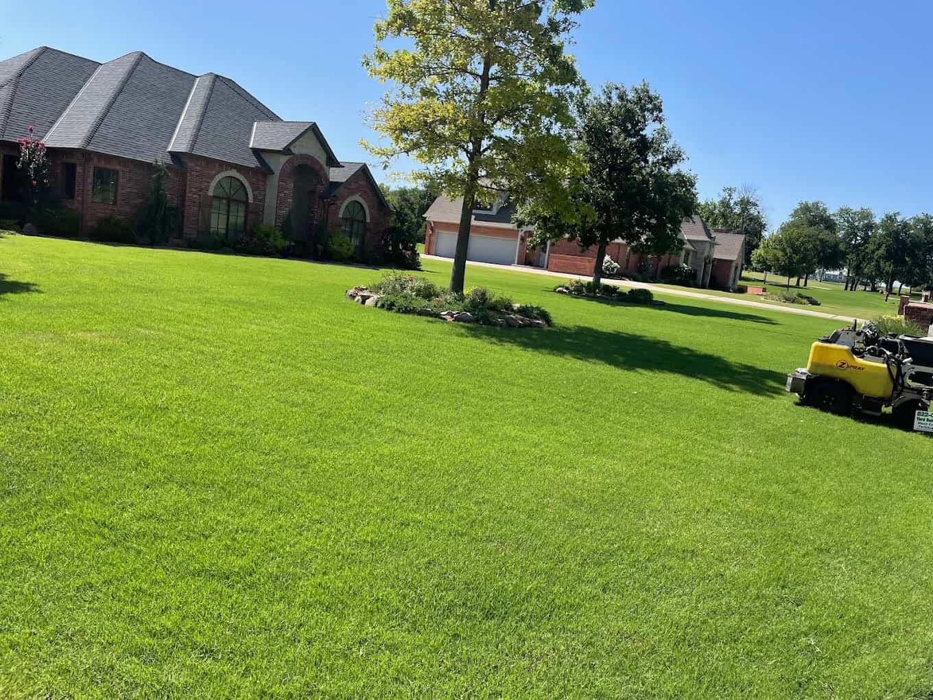 mowed lawn
