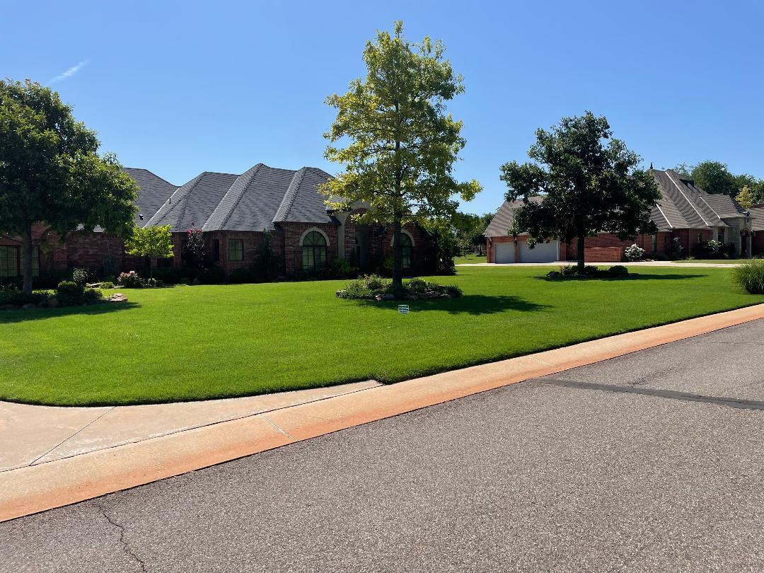 lush green lawn
